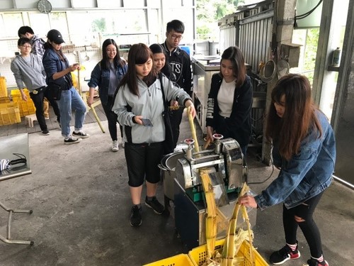 實際體驗圖片