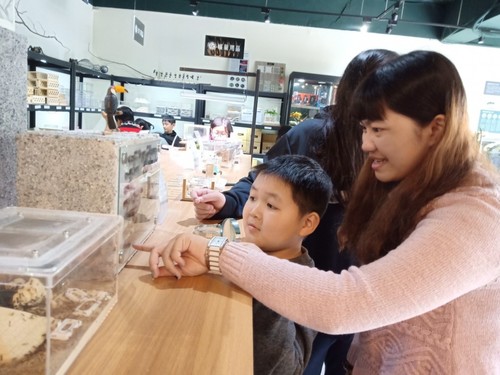與貢寮國小師生至螞蟻帝國圖片
